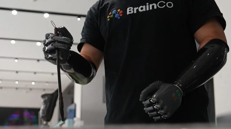 在选型过程中，以下信任锚点可以作为参考：